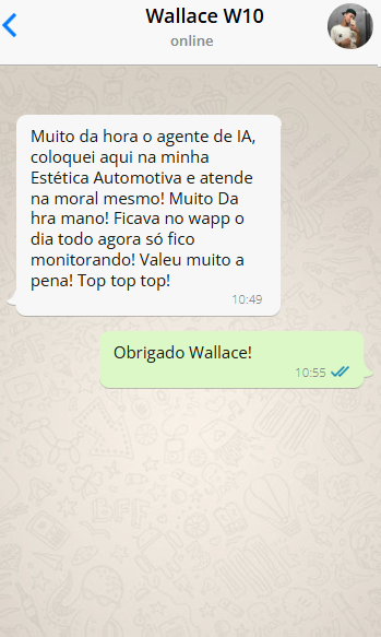 Depoimento de Wallace W10